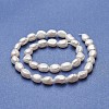 Grade AA Natural Cultured Freshwater Pearl Beads Strands PEAR-P060-26A-2