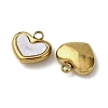 304 Stainless Steel Resin Pendants STAS-P406-15A-G-2