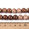 Natural Wood Lace Stone Wooden Jasper Beads Strands G-T143-30A-04-4