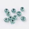 Glass Seed Beads E06900H2-2