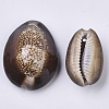 Natural Cowrie Shell Pendants SSHEL-N034-24-3