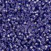 MIYUKI Round Rocailles Beads SEED-G009-RR0649-3