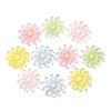 Transparent Resin Cabochons CRES-I046-04-2