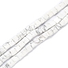 Natural Howlite Beads Strands G-K337-05-1