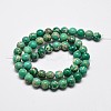 Natural Imperial Jasper Beads Strands X-G-I122-8mm-05-3