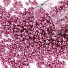 8/0 Glass Seed Beads X1-SEED-A017-3mm-1111-1