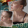 12 Pairs 6 Style 304 Stainless Steel Flat Hoop Earrings EJEW-UN0002-16-7