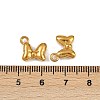 304 Stainless Steel Charms STAS-F317-02G-3