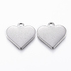 304 Stainless Steel Charms LS-STAS-K154-18P-1