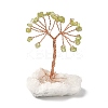 Natural Peridot Chips Tree of Life Decorations DJEW-P022-01B-08-1