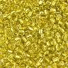 6/0 Round Silver Lined Round Hole Glass Seed Beads X-SEED-A005-4mm-30-3