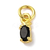 Rack Plating Brass Micro Pave Cubic Zirconia Charms KK-F881-03G-01-1