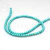 Natural Magnesite Beads Strands TURQ-G103-6mm-01-5