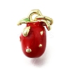 Brass with Enamel Charms KK-Q066-01F-G-1