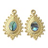 Teardrop 304 Stainless Steel Natural Paua Shell/White Shell Pendants Ion Plating(IP) STAS-U037-09G-02-1