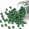 6/0 Glass Seed Beads X2-SEED-A010-4mm-47-1