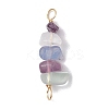 10Pcs 5 Styles Constellation Natural Strawberry Quartz & Amethyst & Obsidian & Fluorite & Rose Quartz Copper Wire Wrapped Chip Beaded Connector Charms PALLOY-JF02905-02-3