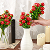 Plastic Imitation Apple AJEW-WH0502-39-3
