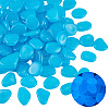 1 Set Resin Luminous Glow in the Dark Pebbles Stone DJEW-CN0001-40B-1