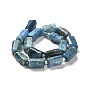 Natural Apatite Beads Strands G-N327-06-27-3