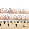 Natural Cultured Freshwater Pearl Beads Strands PEAR-C003-13E-5