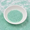 MIYUKI Delica Beads LS-X-SEED-J020-DB1707-2