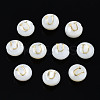 Natural Freshwater Shell Beads SHEL-S278-036U-1