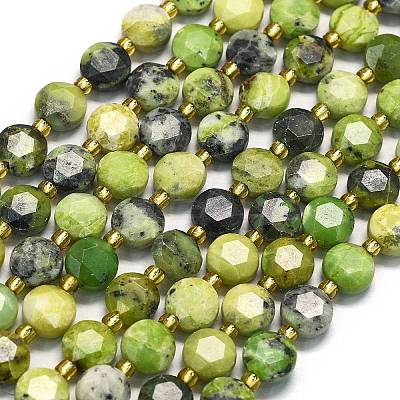 Natural Serpentine Beads Strands G-C116-A14-02-1
