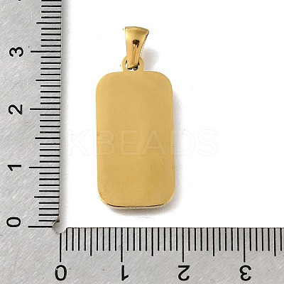 304 Stainless Steel Enamel Pendants STAS-B087-06G-01-1