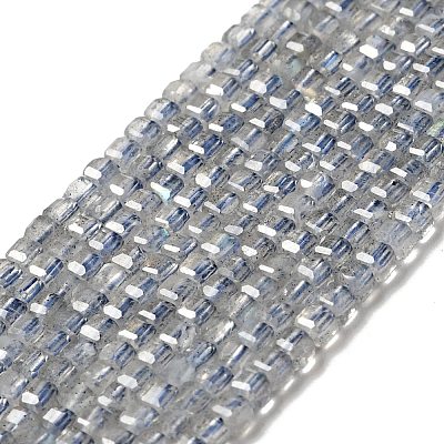Natural Labradorite Beads Strands G-D470-07-1