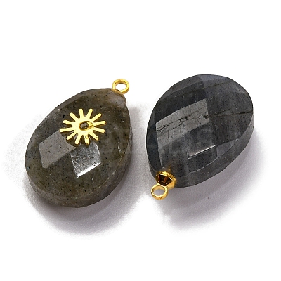 Natural Labradorite Pendants G-B089-01G-04-1