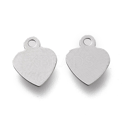 Non-Tarnish 304 Stainless Steel Charms LS-STAS-K195-13P-1