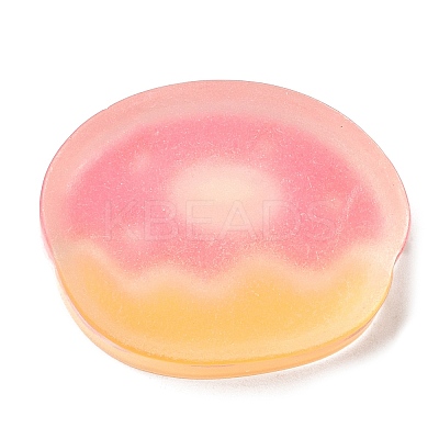 Translucent Resin Imitation Food Decoden Cabochons LS-RESI-H147-01O-1