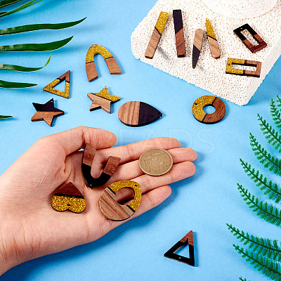 20Pcs 10 Styles Opaque Resin & Walnut Wood Pendants RESI-TA0003-37-1