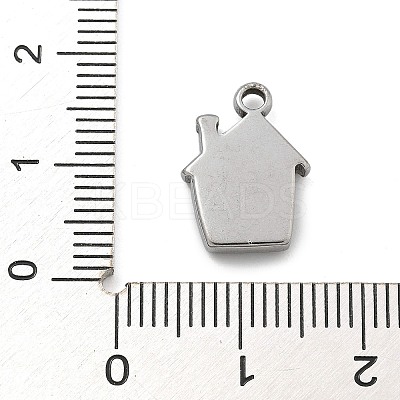 Anti-Tarnish 304 Stainless Steel Charms LS-STAS-M084-01D-P-1