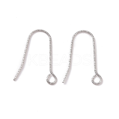 Tarnish Resistant 316 Stainless Steel Earring Hooks X-STAS-C059-10P-1