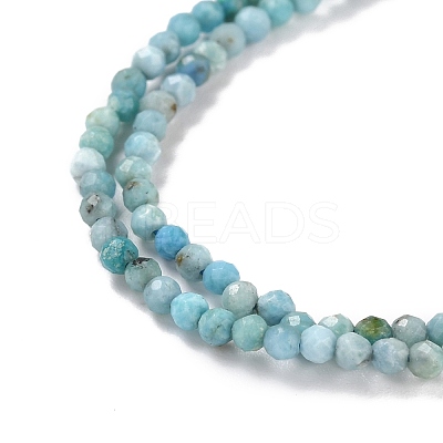 Natural Blue Opal Beads Strands G-K315-B05-A-1