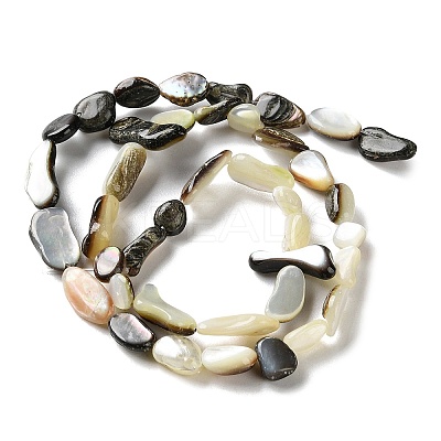 Natural Black Lip Shell Beads Strands SHEL-G020-04-1