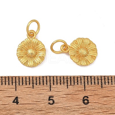 Brass Charms KK-F941-33C-G-1