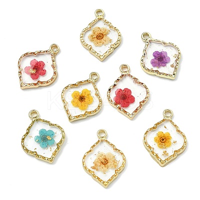 10Pcs 5 Colors Zinc Alloy Epoxy Resin Pendants FIND-CJ0004-93-1