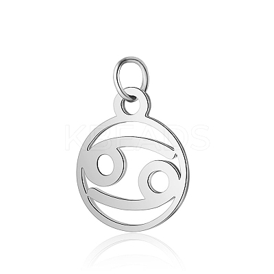 Non-Tarnish 304 Stainless Steel Charms STAS-T036-T513-A4-1