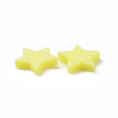 Handmade Polymer Clay Cabochons CLAY-A002-01E-1
