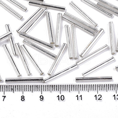 Electroplate Glass Bugle Beads SEED-S043-02C-02-1