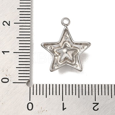 304 Stainless Steel Pendants STAS-L022-250-1
