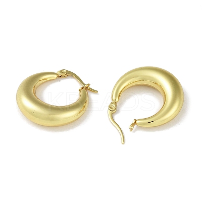 Ion Plating(IP) 304 Stainless Steel Hoop Earrings for Women STAS-I304-21A-G-1