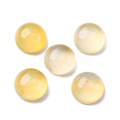 Natural Yellow Agate Cabochons G-K348-07C-04-1