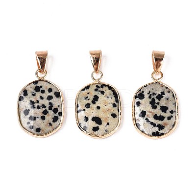 Natural Dalmatian Jasper Pendants G-N349-04F-G-1