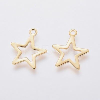 304 Stainless Steel Charms X-STAS-L234-095G-1