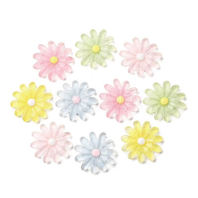 Transparent Resin Cabochons CRES-I046-04-1