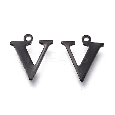 304 Stainless Steel Charms LS-STAS-H112-V-EB-1